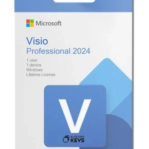 Microsoft Visio Professional 2024 BIND - Image 1