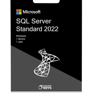 Windows SQL Server 2022 Standard - Image 1